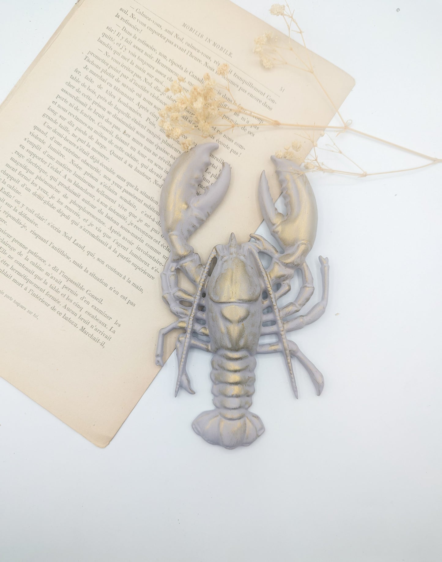 Décoration murale homard rouge – Décor maritime bord de mer & cabinet de curiosités