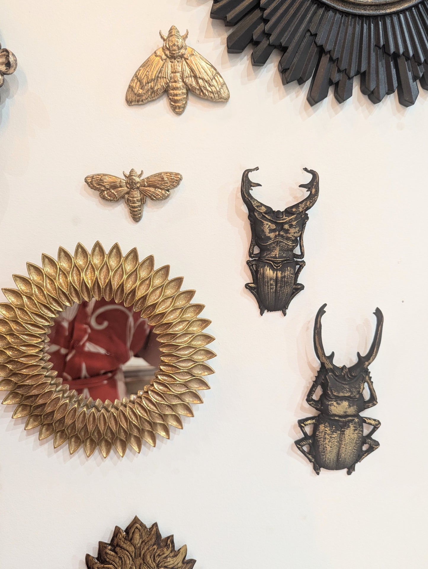 Décoration murale scarabées lucane cerf-volant noir et or – Insectes gothique & cabinet de curiosités