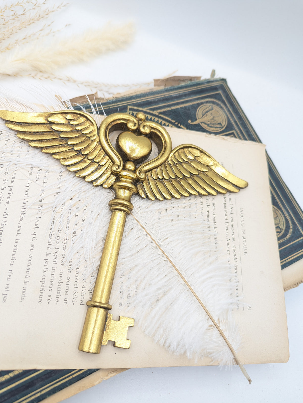 Clé féerique dorée sur livre ancien et plume, esprit cabinet de curiosité