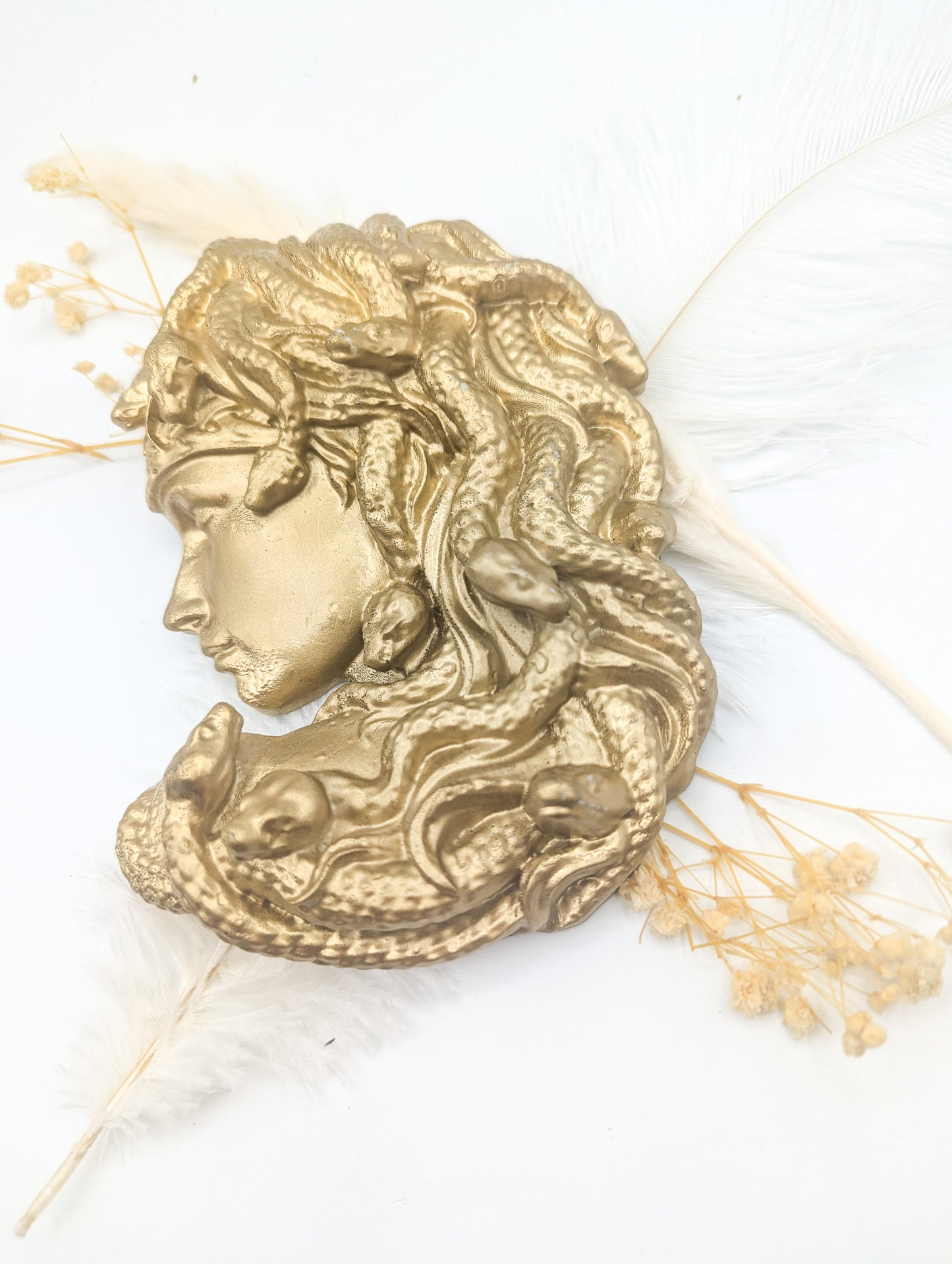 Gorgone medusa or