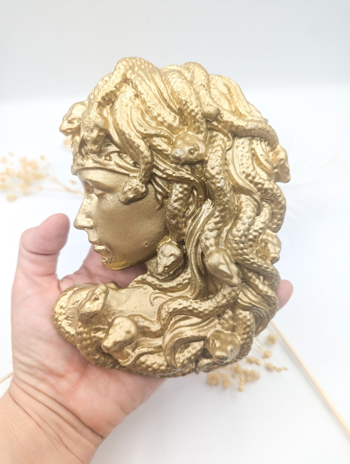 Gorgone medusa or