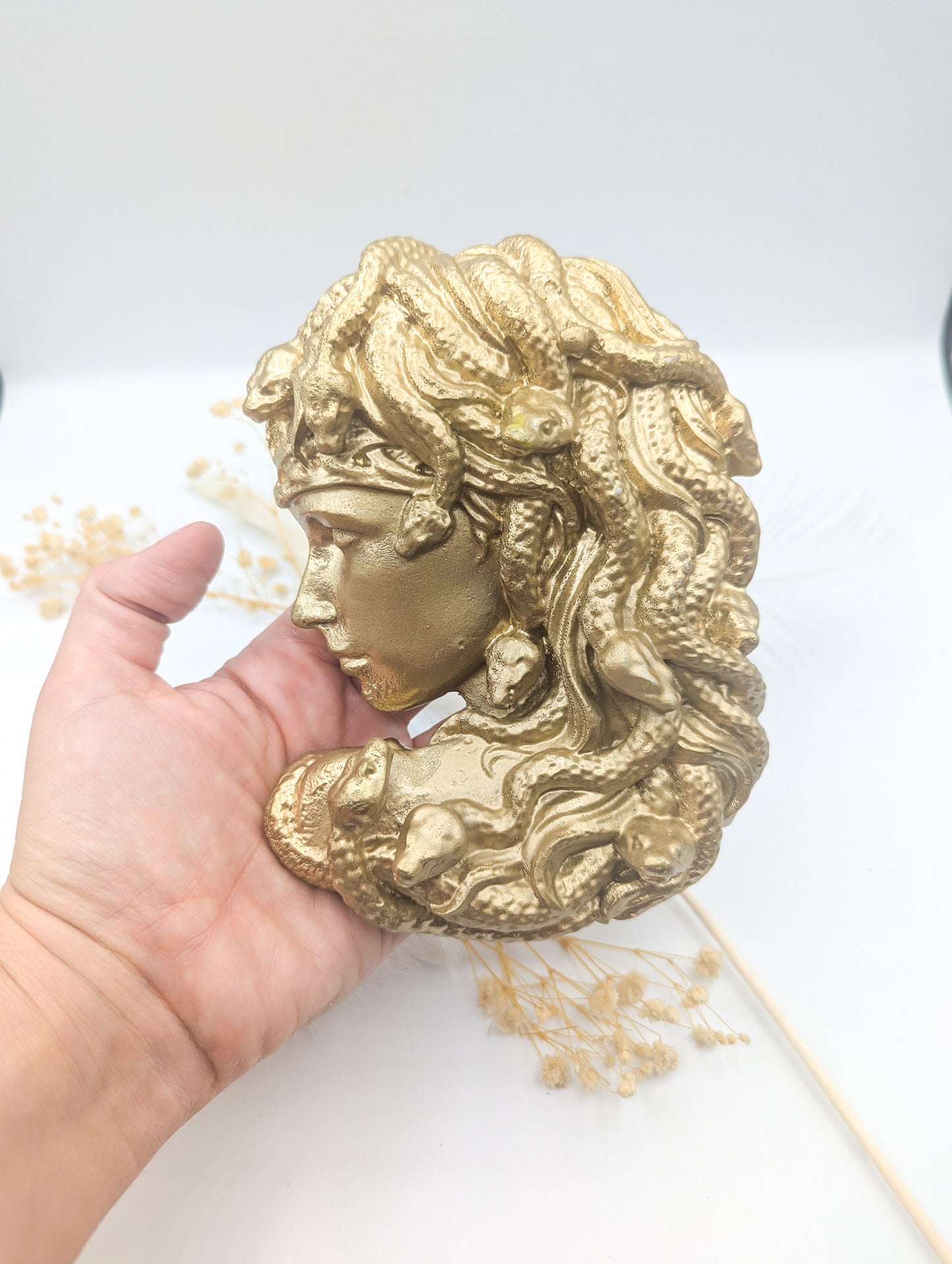 Gorgone medusa or