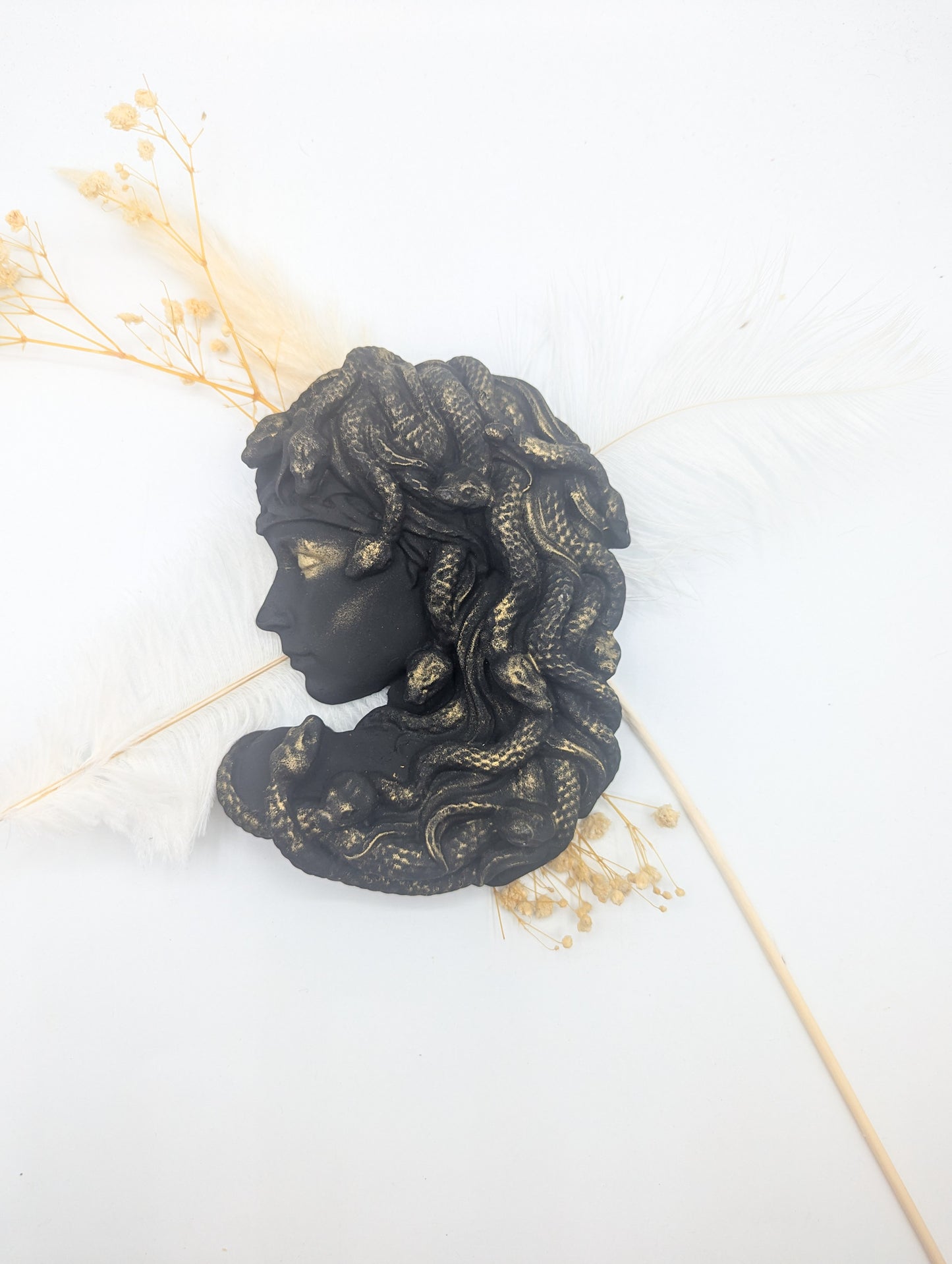 Gorgone medusa or