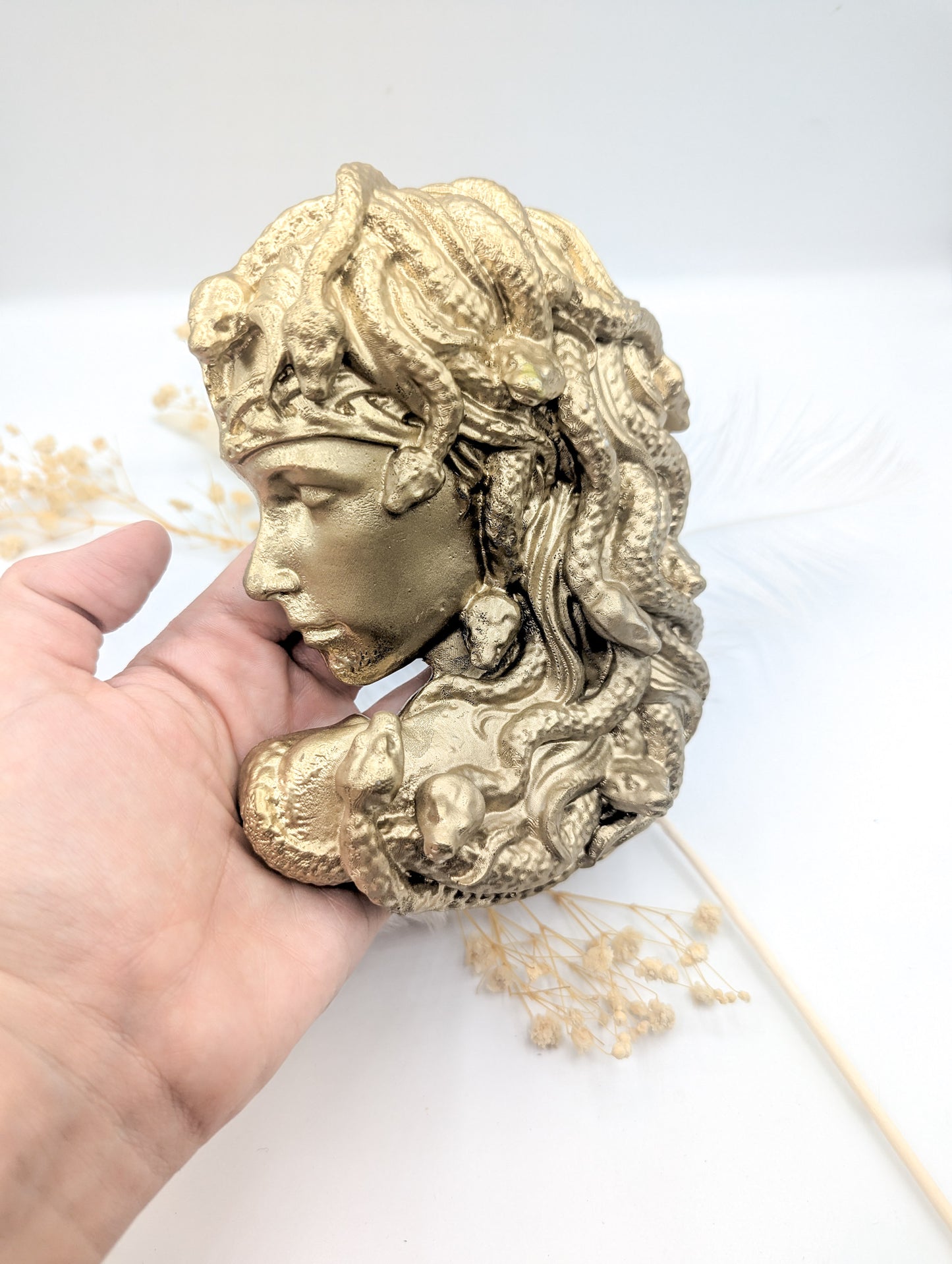 Gorgone medusa or