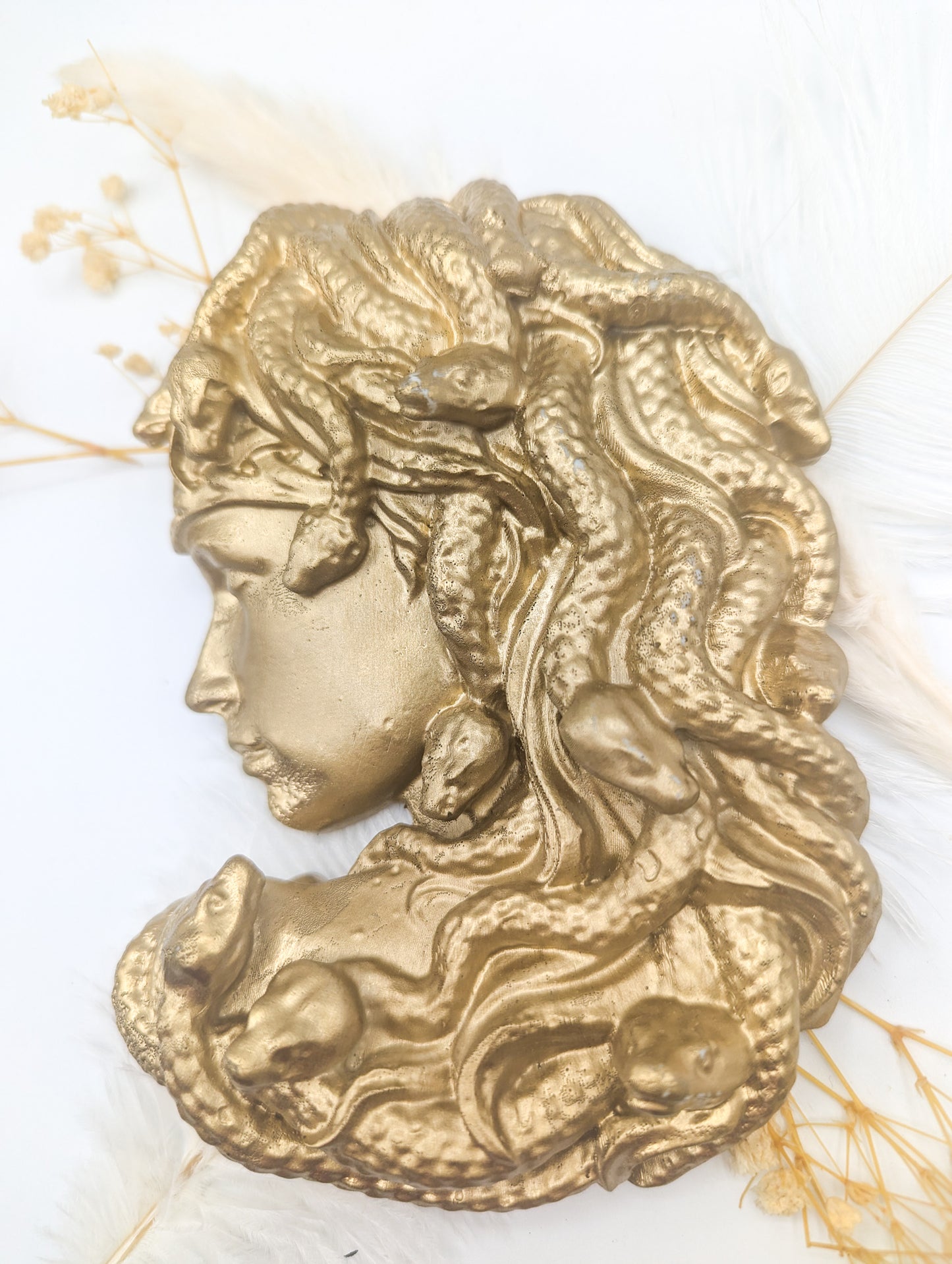 Gorgone medusa or