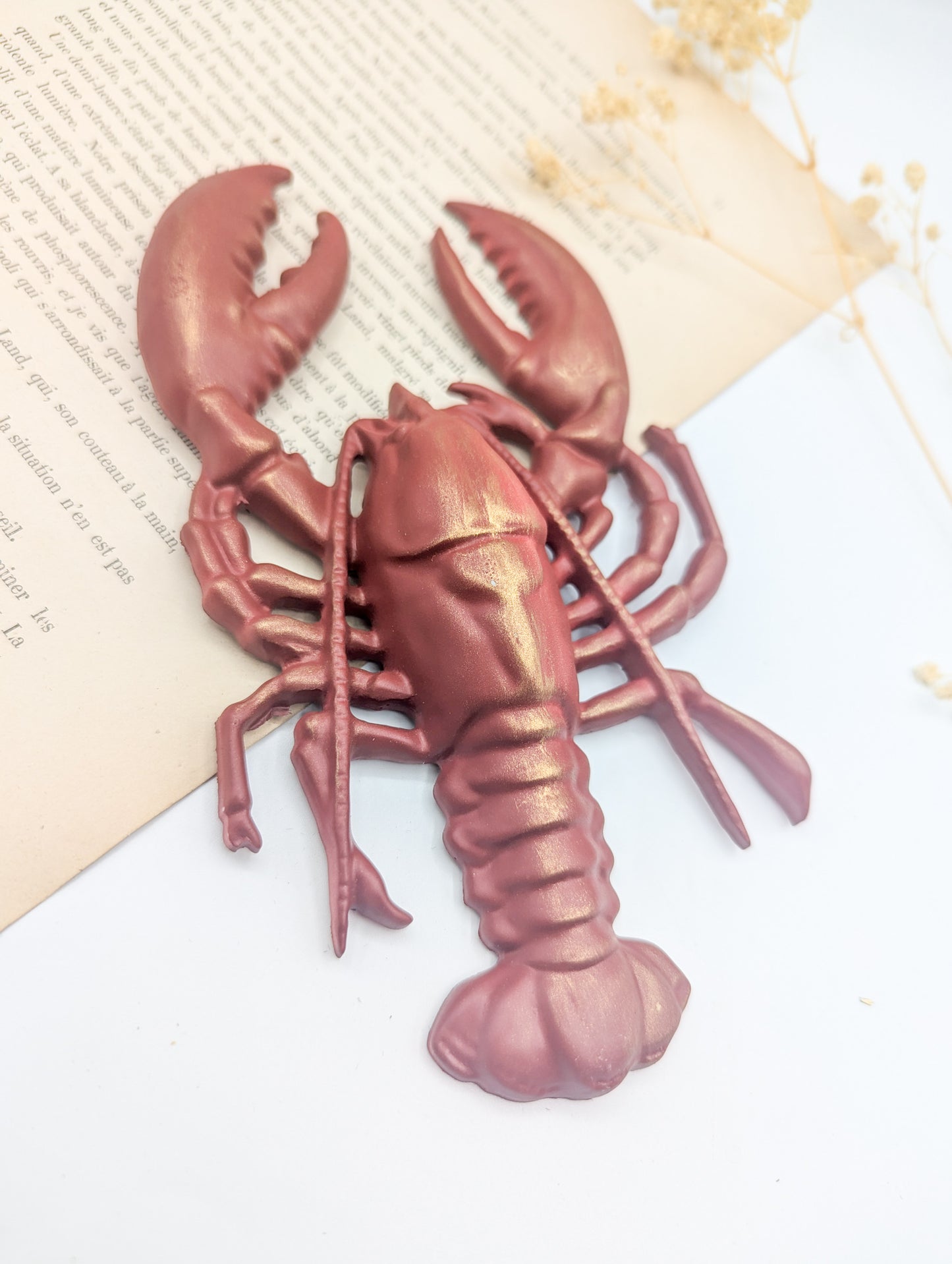 Décoration murale homard rouge – Décor maritime bord de mer & cabinet de curiosités