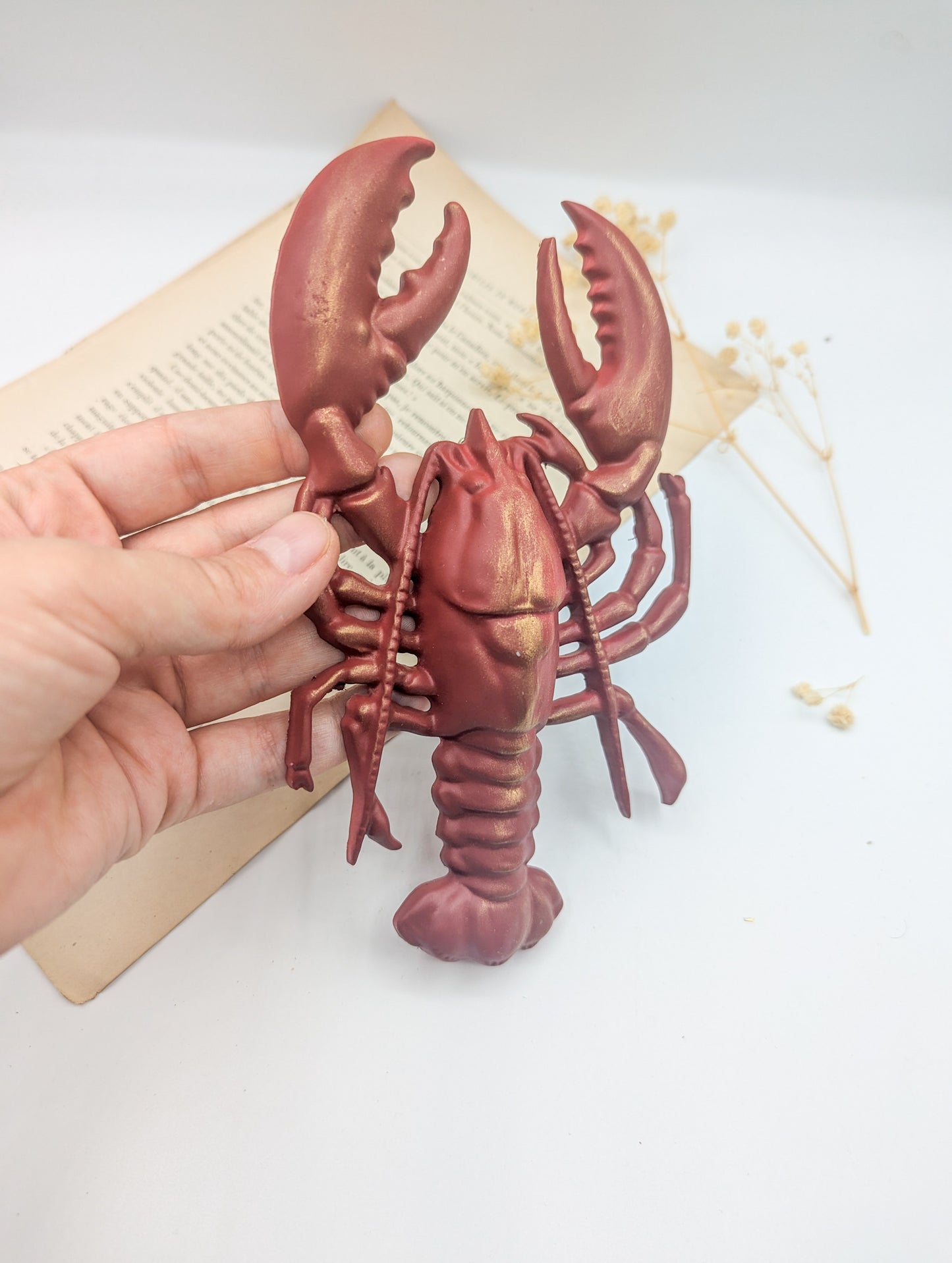 Décoration murale homard rouge – Décor maritime bord de mer & cabinet de curiosités