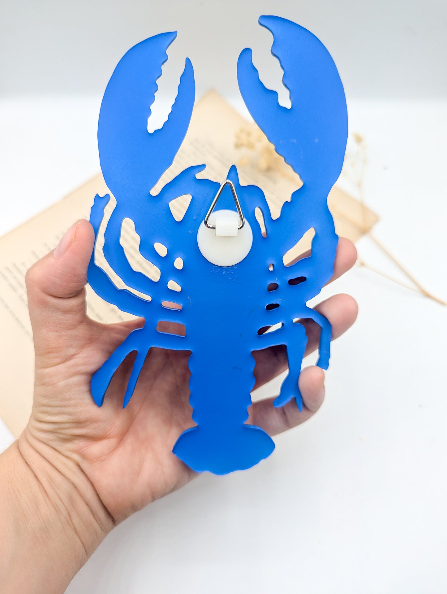 Décoration murale homard bleu breton – Décor maritime bord de mer & cabinet de curiosités