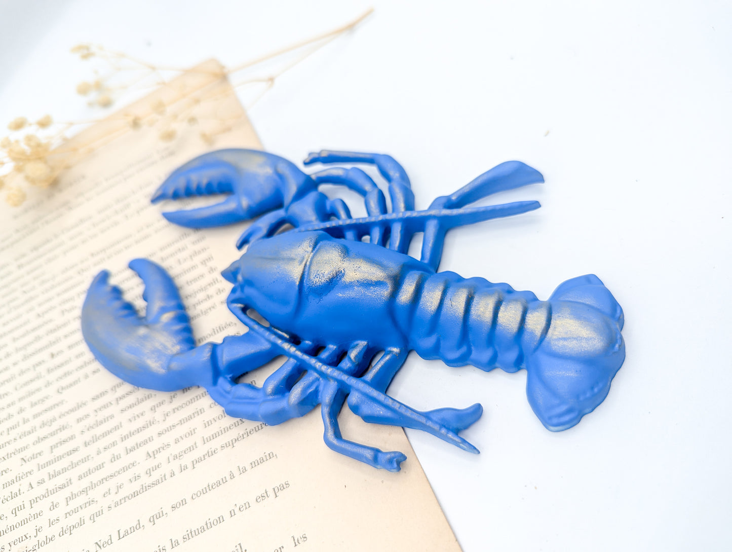 Décoration murale homard bleu breton – Décor maritime bord de mer & cabinet de curiosités
