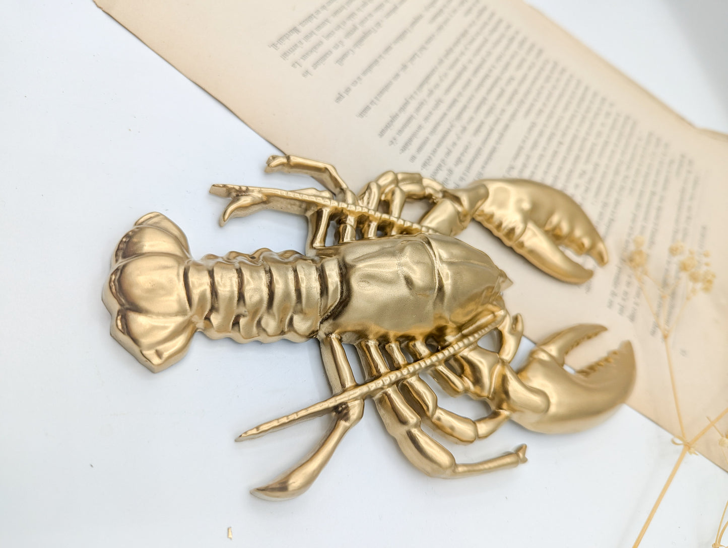 Décoration murale homard doré – Décor maritime bord de mer & cabinet de curiosités