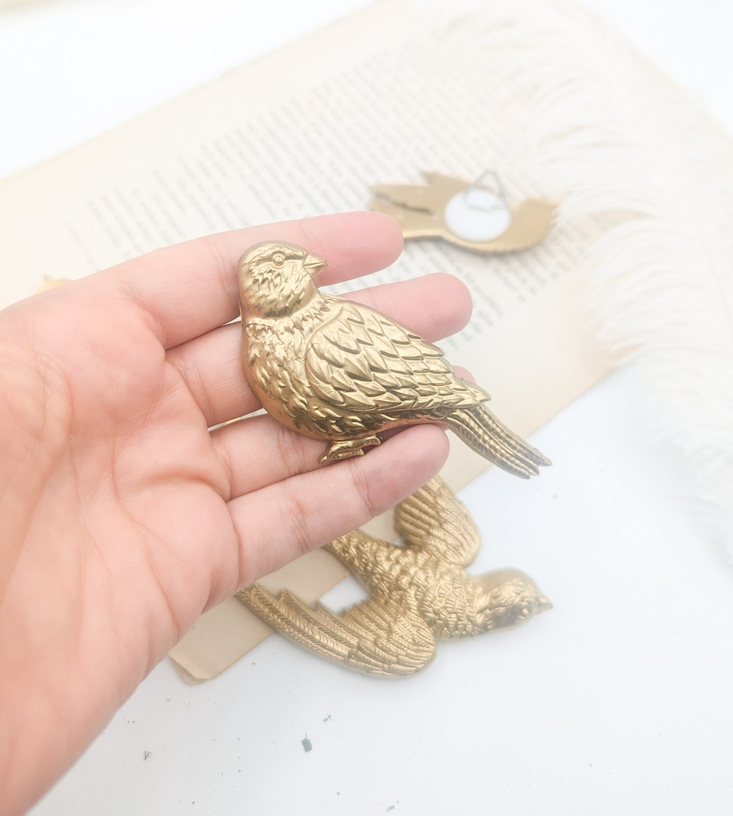Hirondelles décoration murale dorée– oiseaux vintage bohème chic & cabinet de curiosité