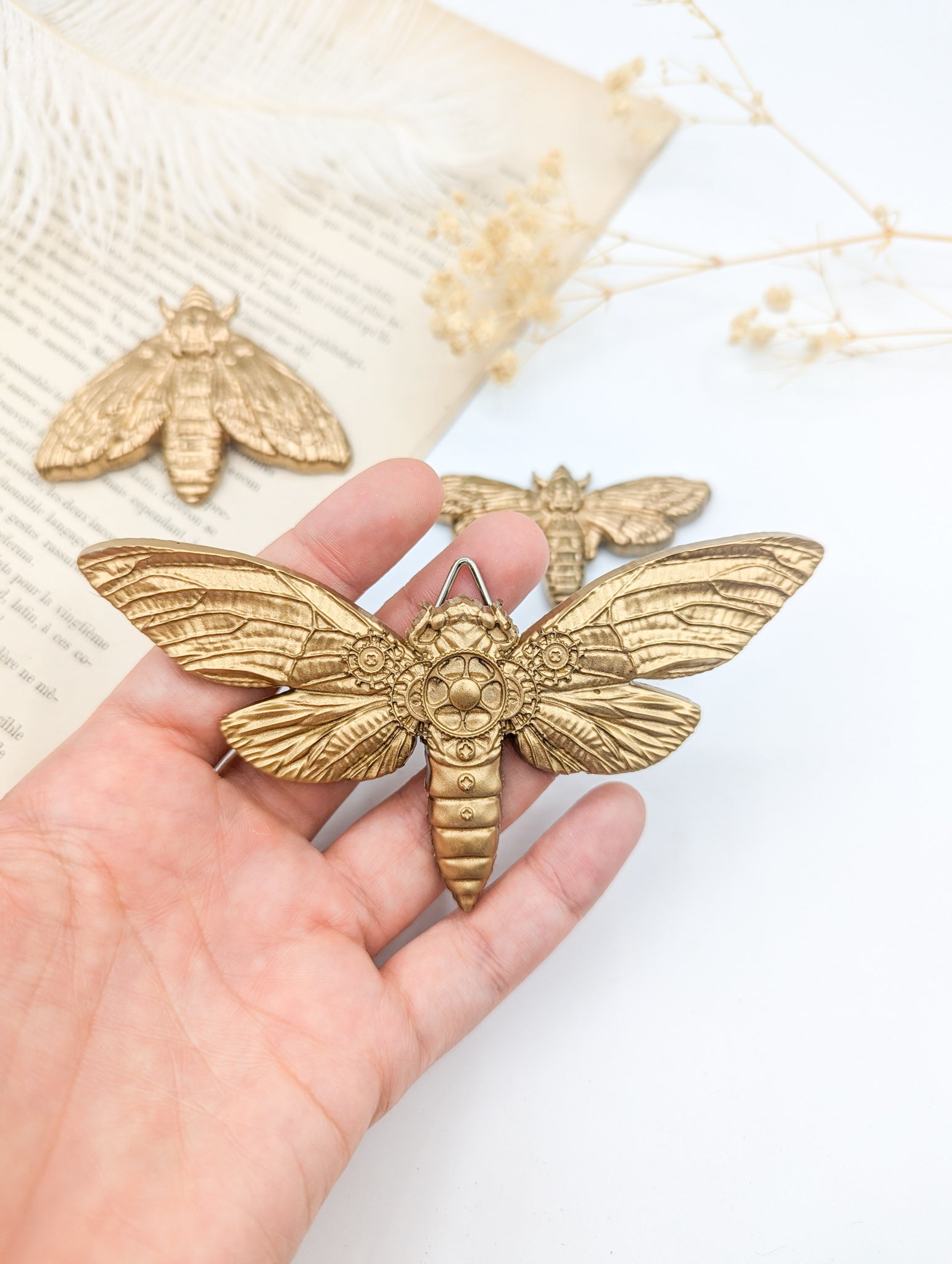 Cigales dorées steampunk dans une ambiance boho chic et cabinet de curiosités