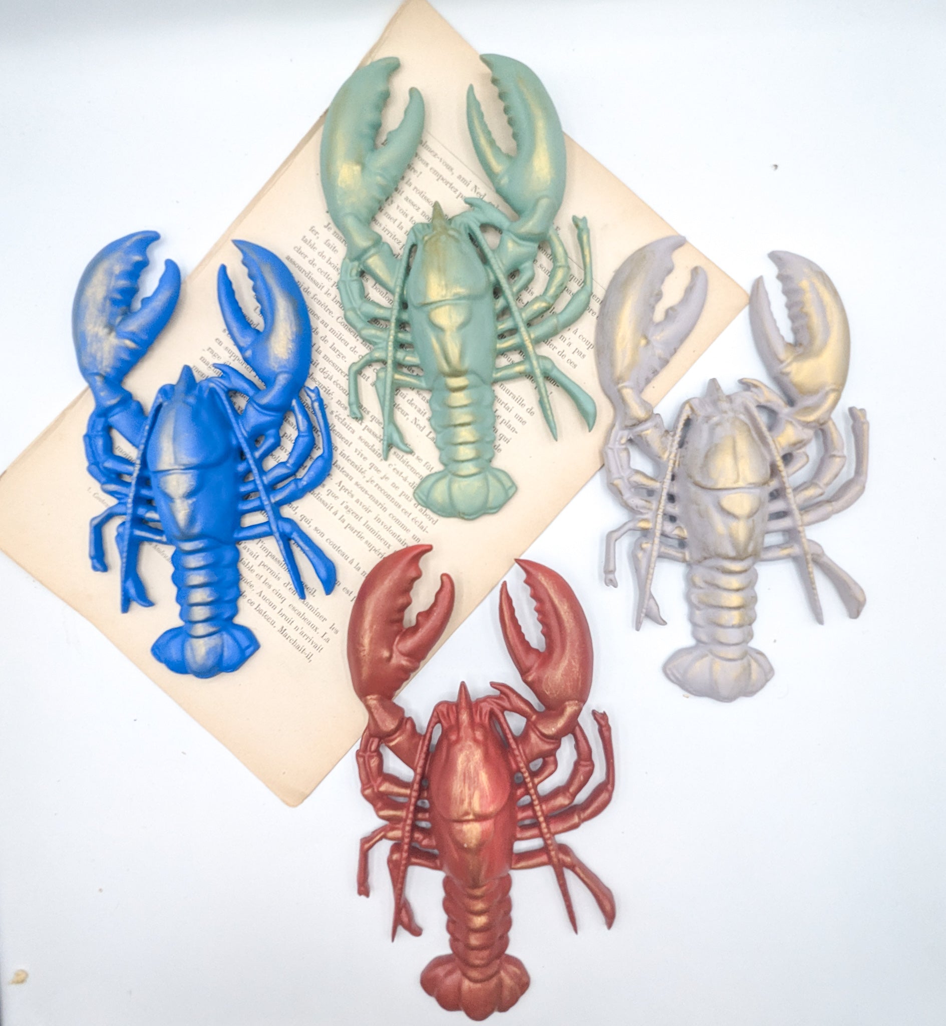 Homard rouge dans une ambiance bord de mer et décoration cabinet de curiosités