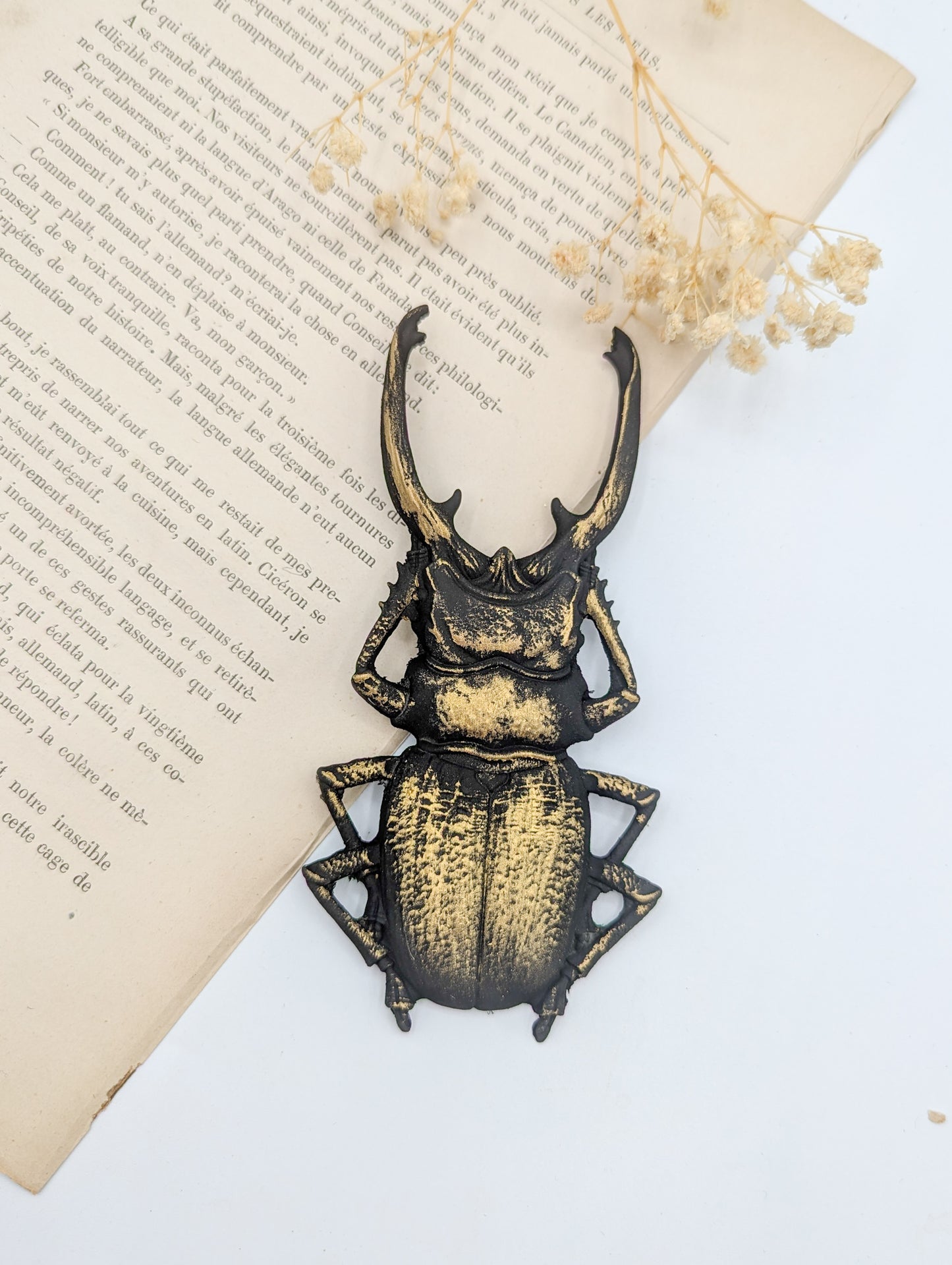 Scarabées lucane cerf-volant noir et or dans une ambiance cabinet de curiosités gothique