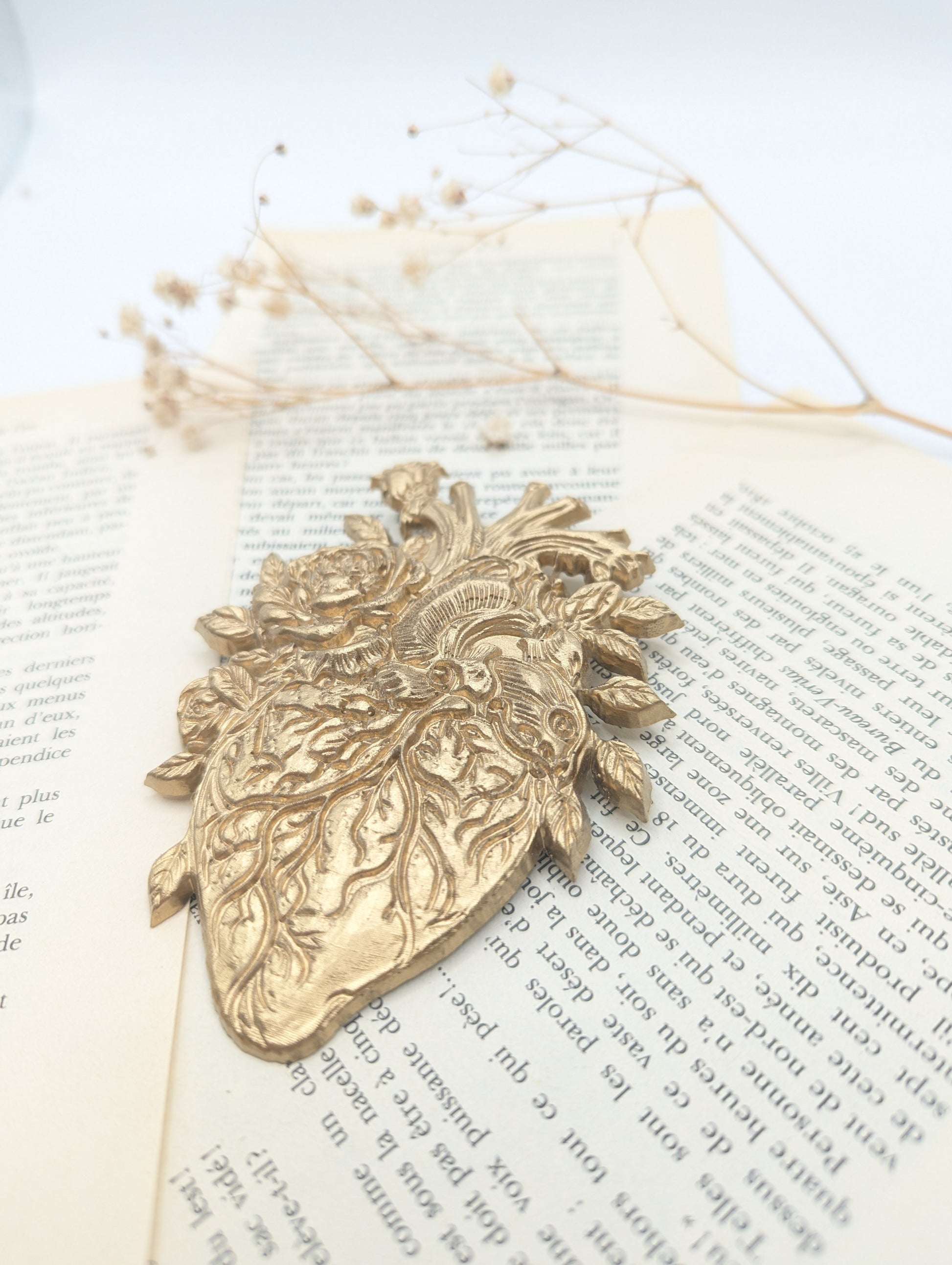 coeurs anatomiques et romantique avec fleur et feuille