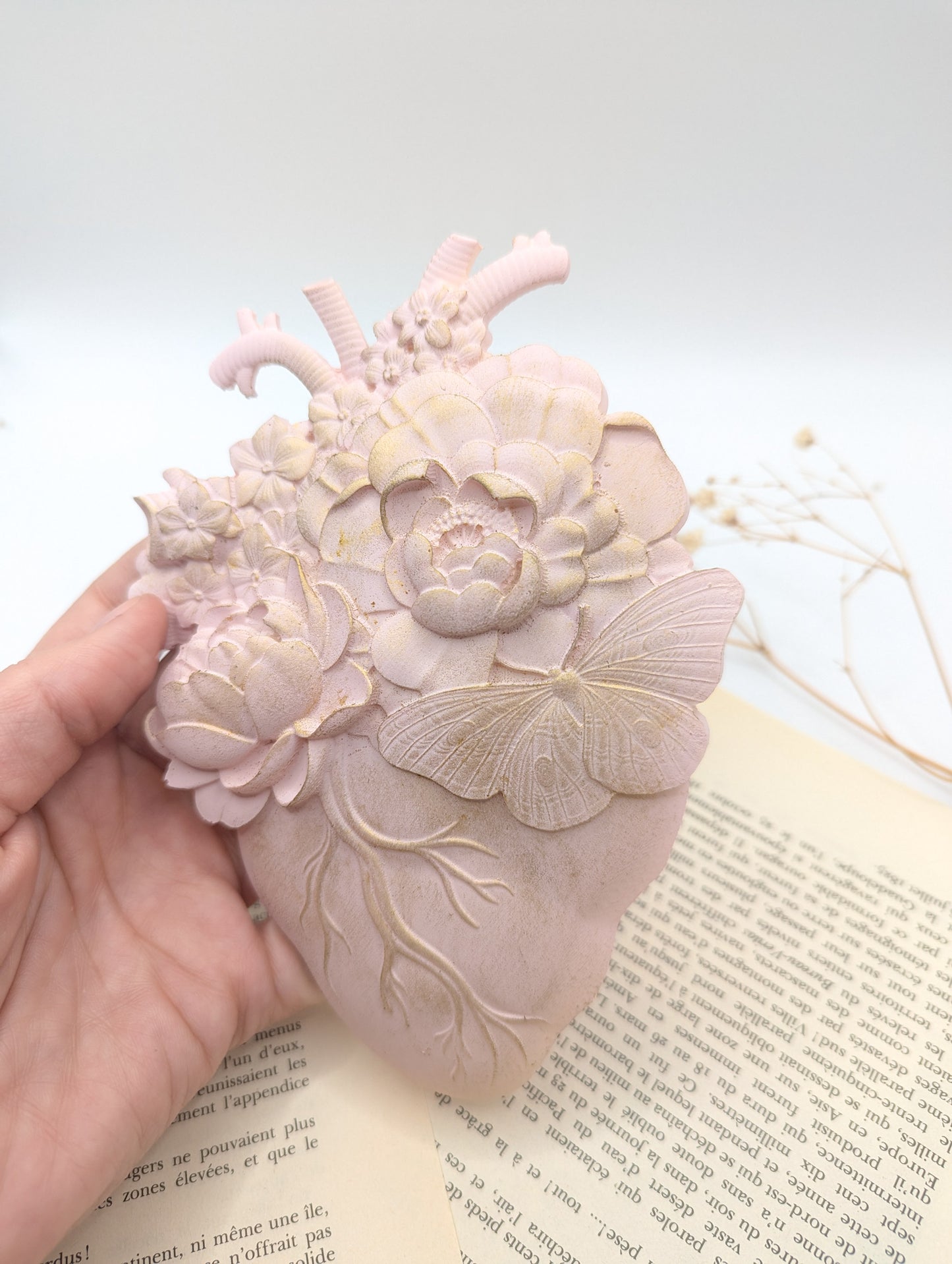 Cœur anatomique rose pastel – ambiance féerique et gothique cabinet de curiosité