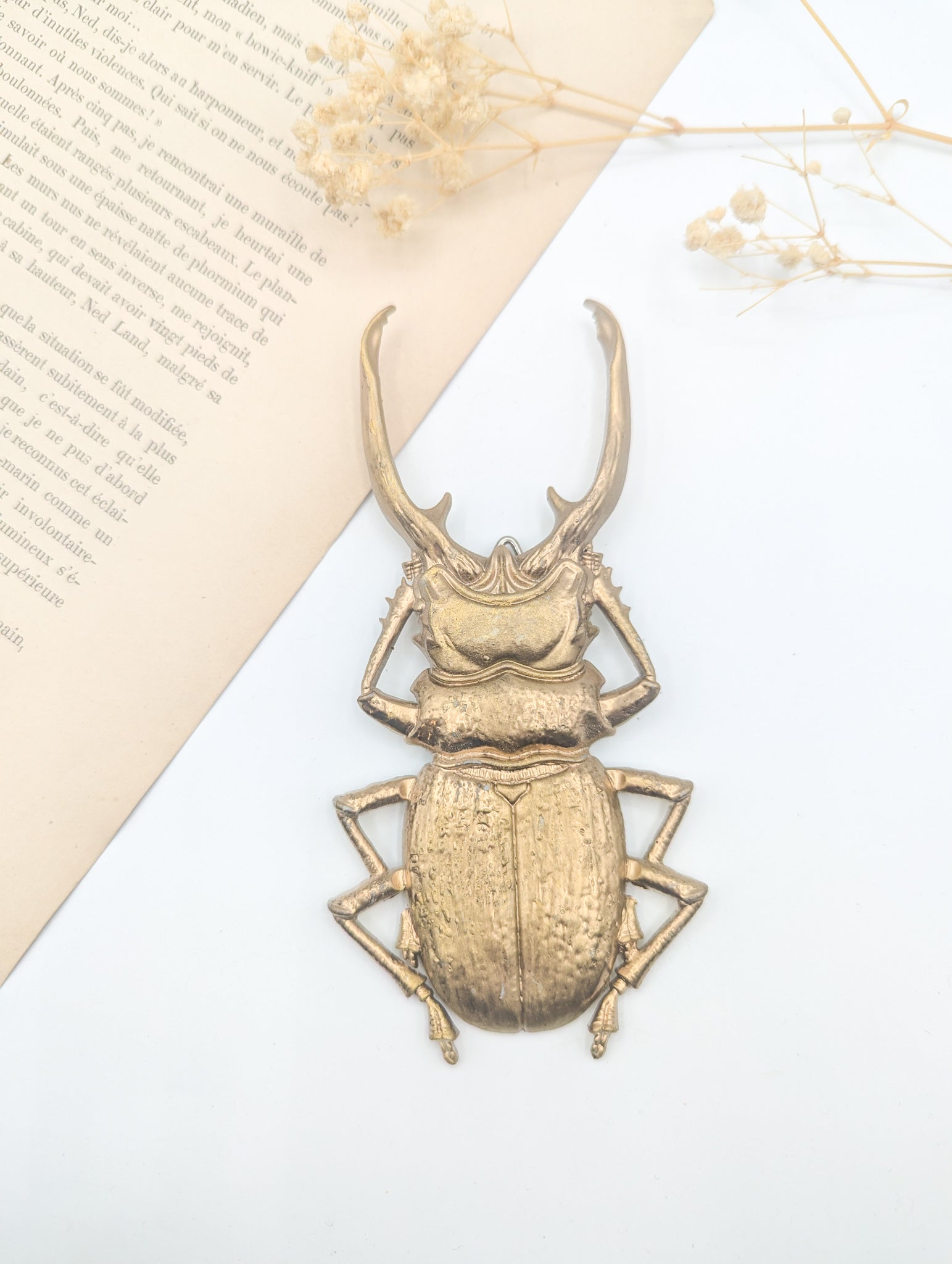 Décoration insectes dorés pour ambiance gothique botanique et cabinet de curiosités