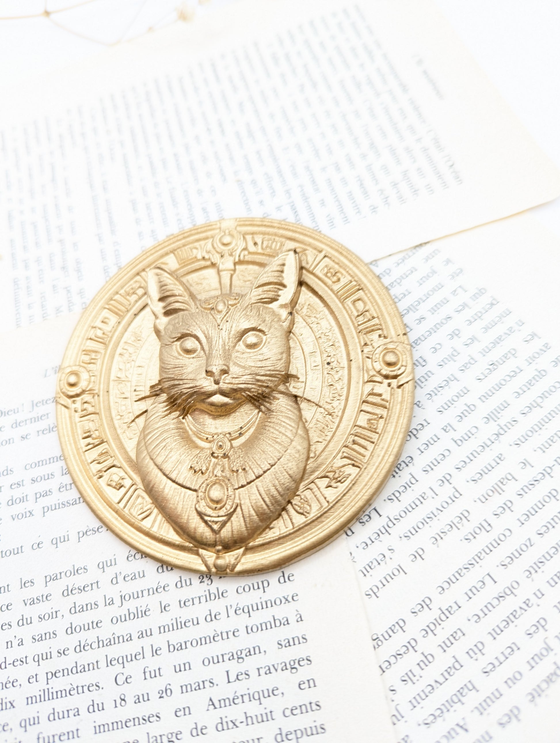 Mythologie égyptienne – chat Bastet dans un médaillon doré pour cabinet de curiosité