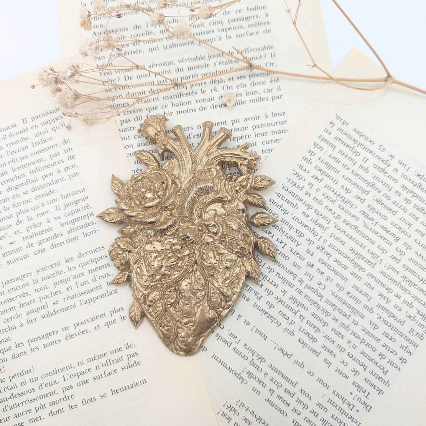 coeurs anatomiques et romantique avec fleur et feuille