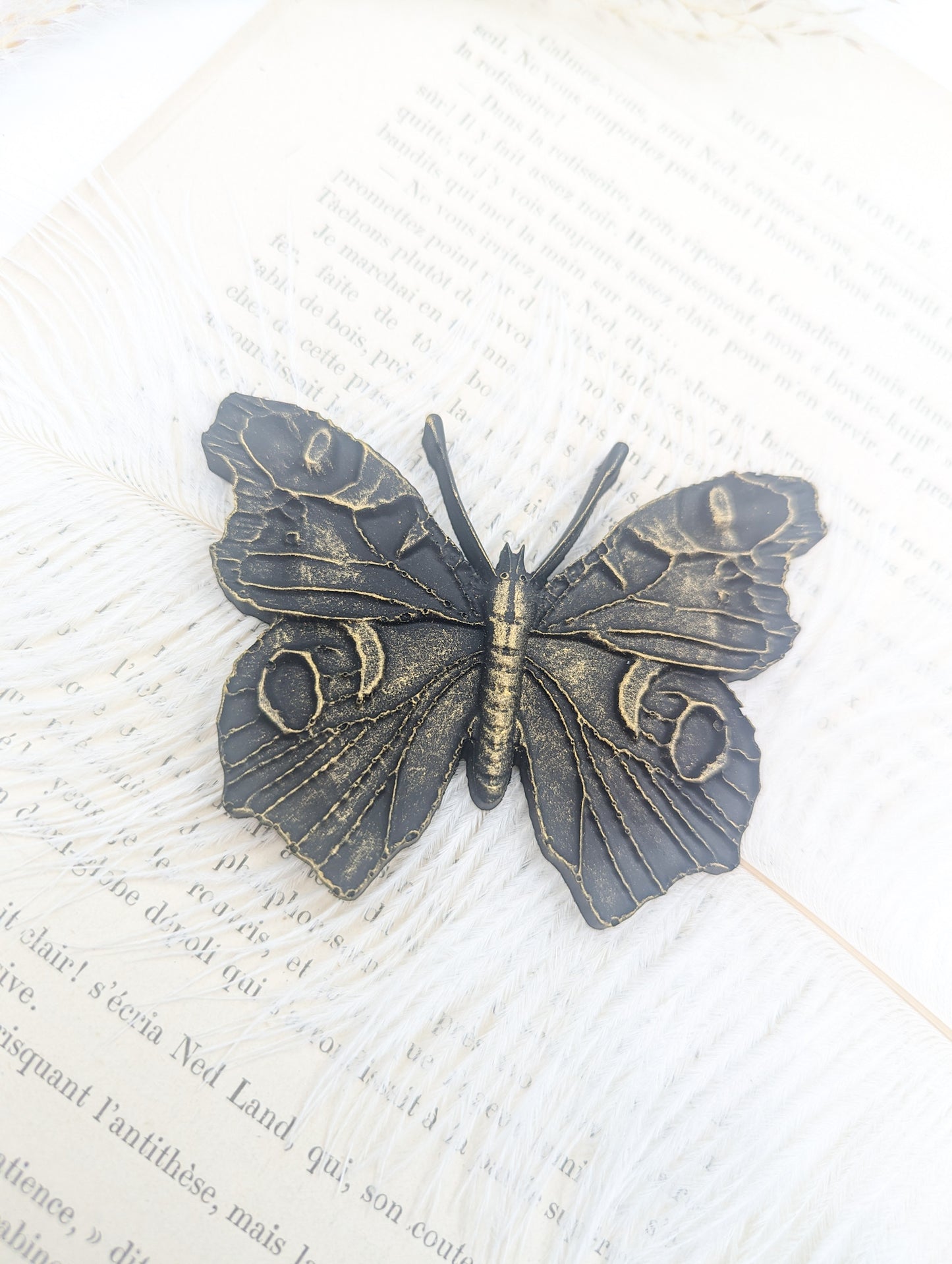 Papillon Monarque noir et or – variante finition sombre cabinet de curiosité
