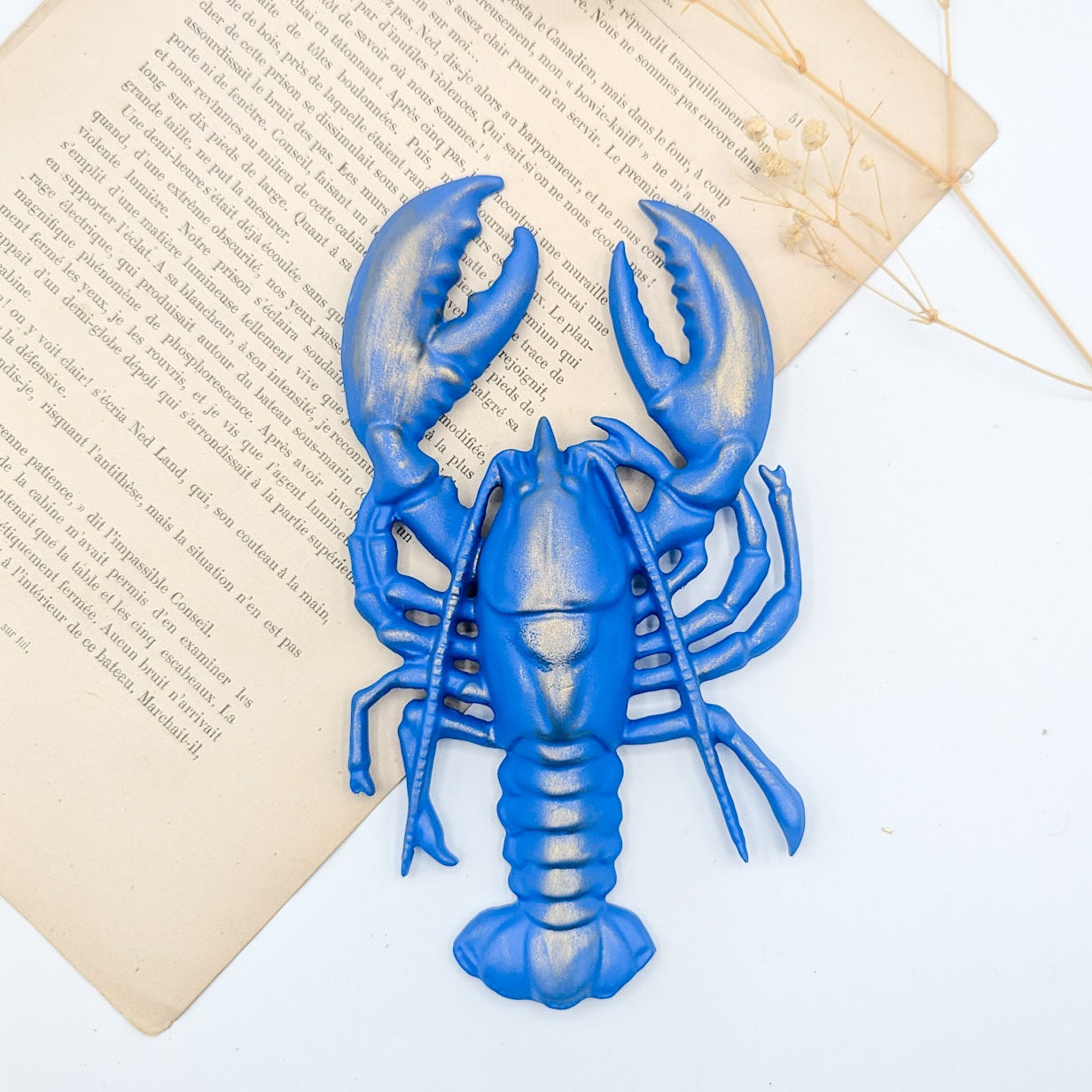 Homard bleu breton en décoration murale style maritime bord de mer et cabinet de curiosités