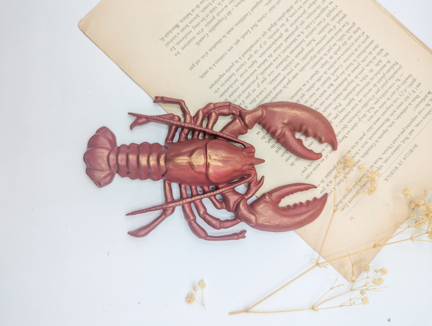 Homard rouge décoratif mural style cabinet de curiosités marin et vintage