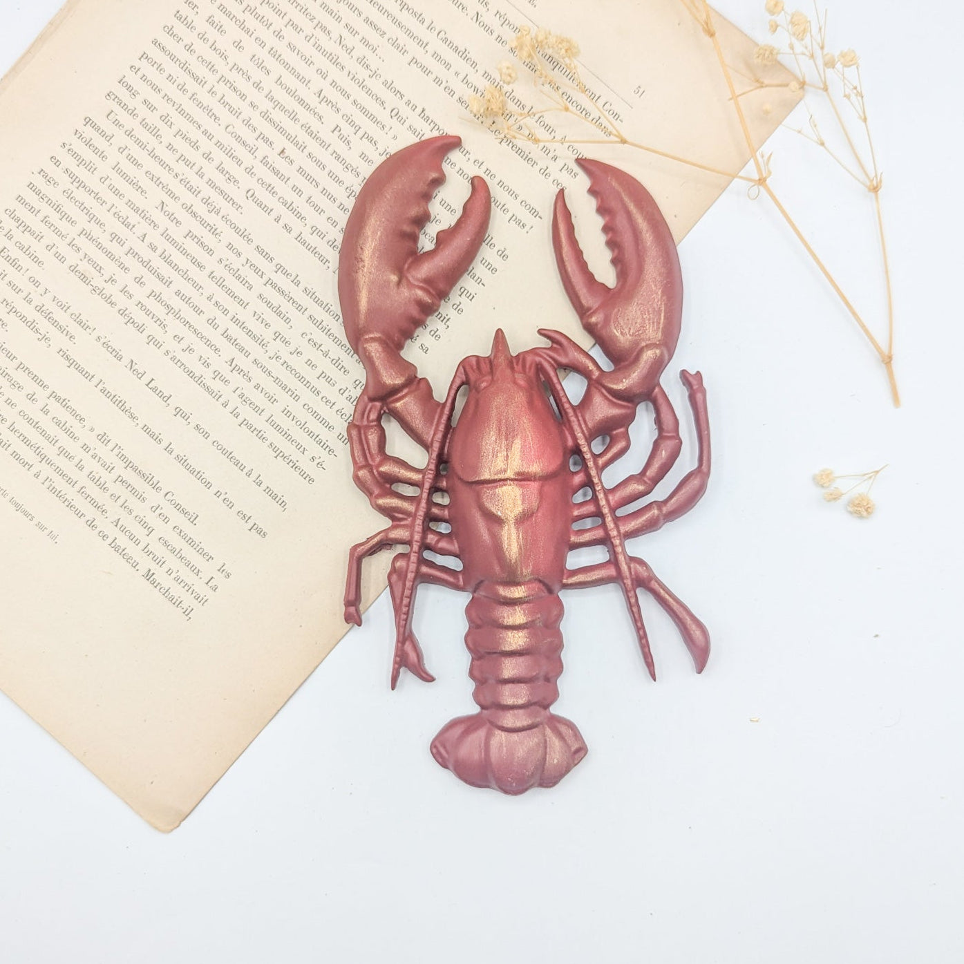 Homard rouge en décoration murale style maritime bord de mer et cabinet de curiosités