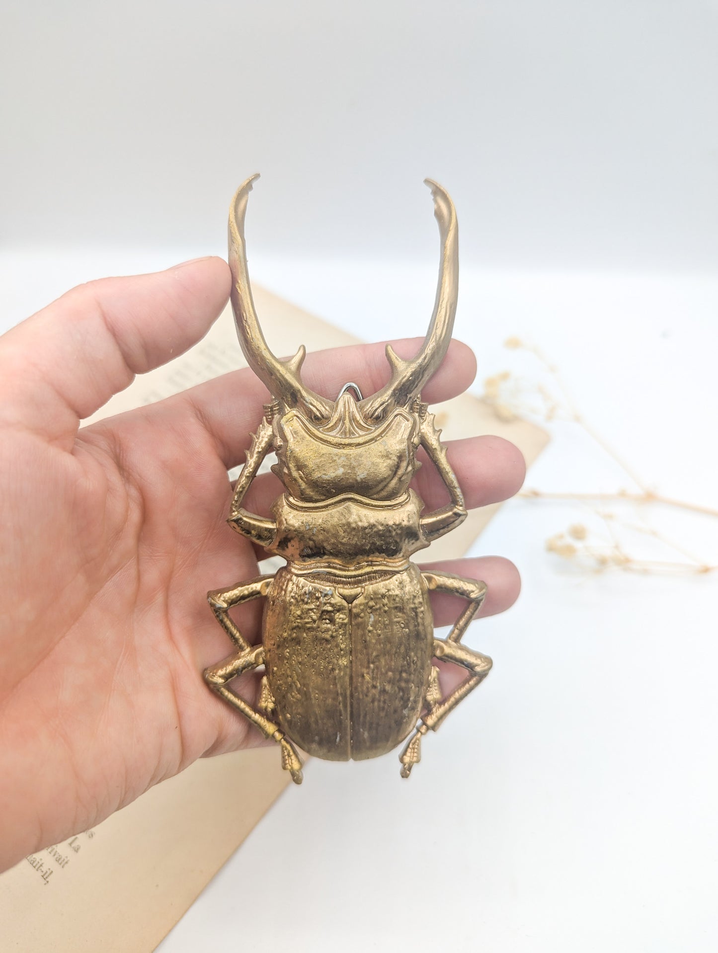Insectes dorés décoratifs inspiration cabinet de curiosités et univers entomologique vintage